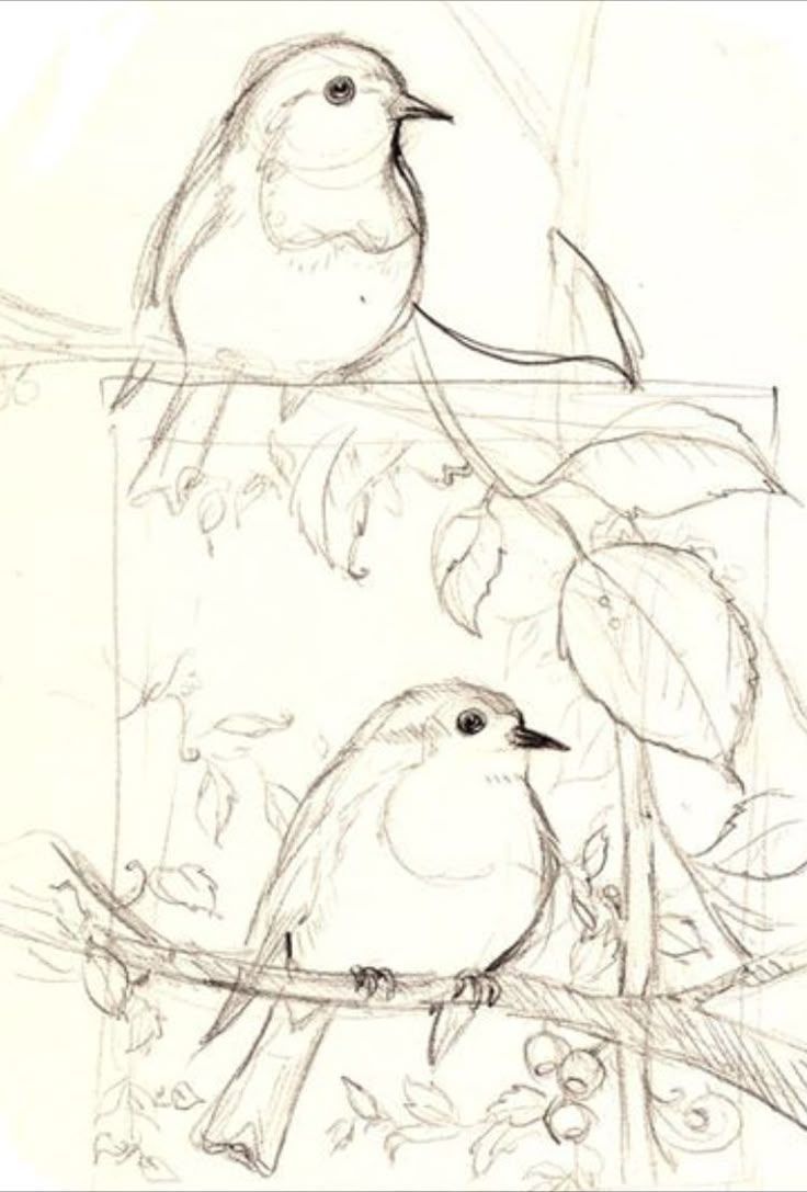 pencil drawing of two birds sitting on a branch