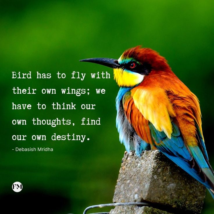 a colorful bird sitting on top of a tree branch with a quote about birds to fly with their own wings we have to think our own, find