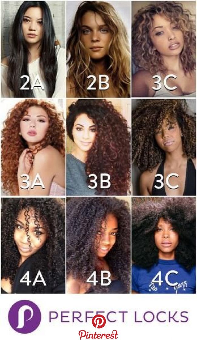 Hair Types: Finding Your Texture « Beauty MY Blond Vs Brunette, Types Of Curly Hair, Hair Type Chart, Curls Hair, Curly Hair Types, Pelo Afro, Curly Girl Method, Curly Hair Routine, Types Of Curls