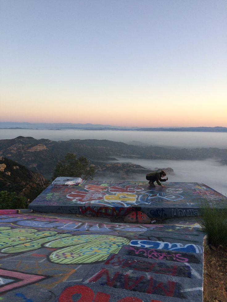 there is a dog that is sitting on the top of a skateboard ramp with graffiti all over it