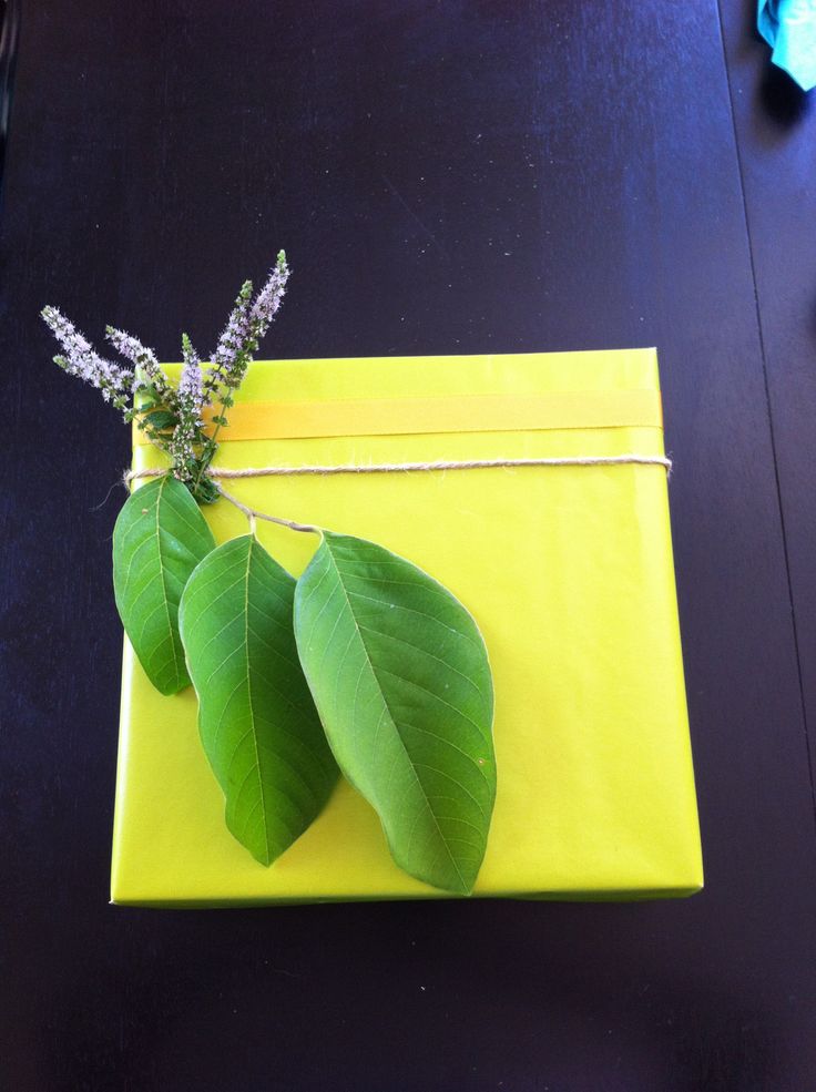 two green leaves are tied to a yellow envelope