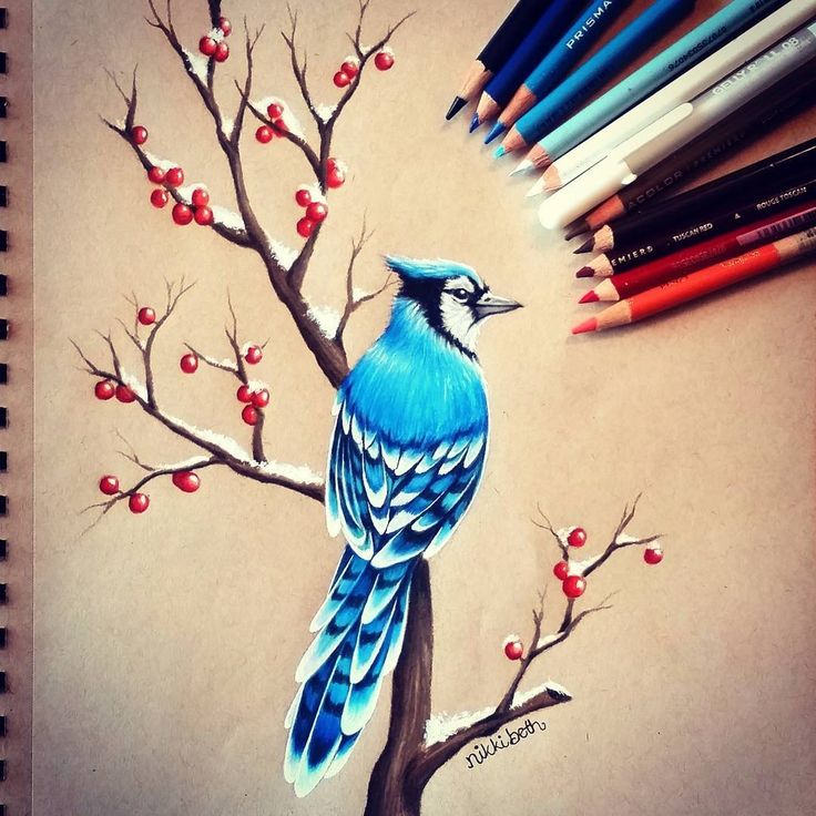 Animal Portrait Drawings in different Styles | Colorful drawings, Bird ...