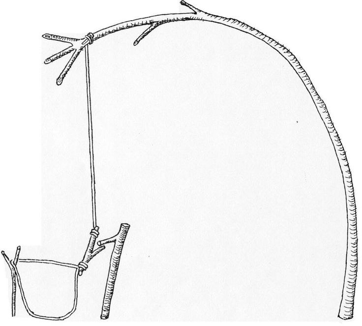 a drawing of a tree branch with two branches attached to it, and an empty bucket in the foreground