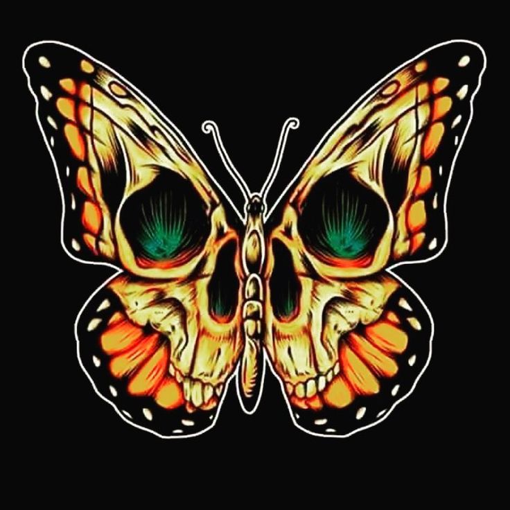 an orange butterfly with blue eyes on a black background