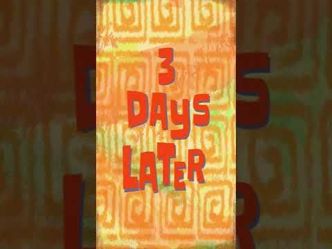 3 Days Later Spongebob Timecard 🍍 #Shorts in 2022 | Spongebob, Funny ...