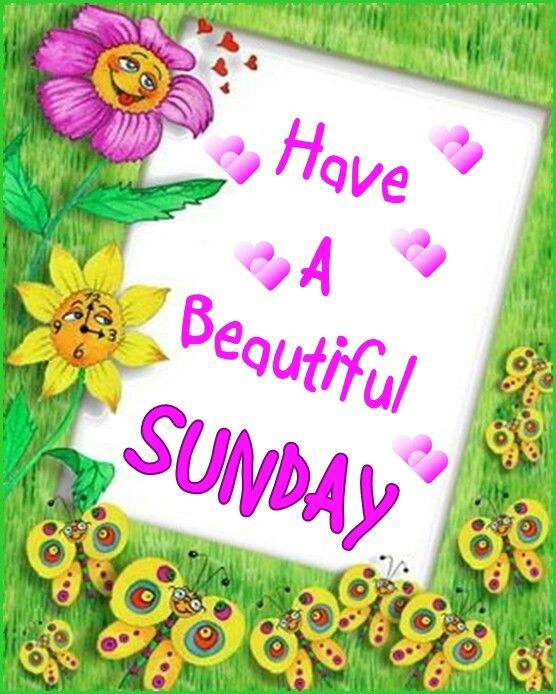 there is a sign that says have a beautiful sunday with flowers and butterflies around it