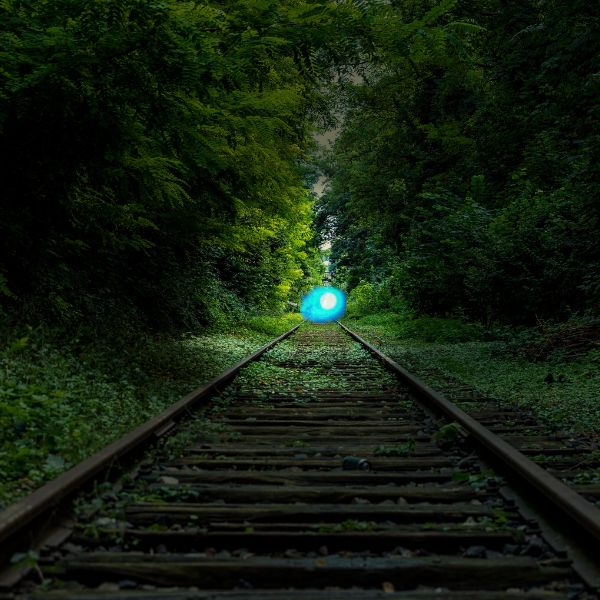 a green light is shining in the middle of a train track with trees around it