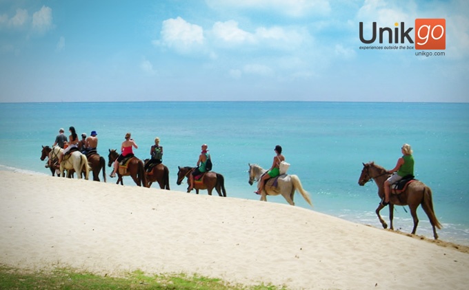 several people are riding horses on the beach