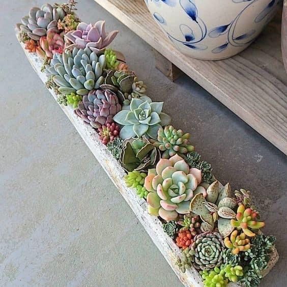 there are many succulents in the planter on the table next to each other