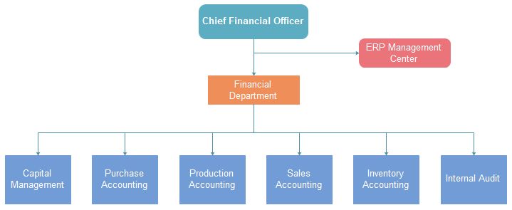 a diagram showing the financial department's organization and its roles in which it is located