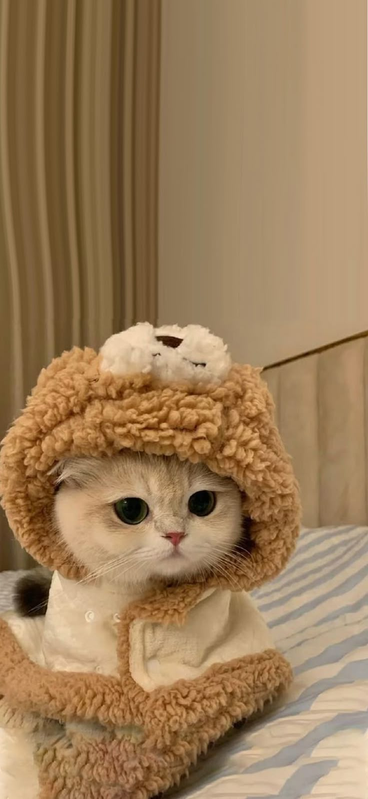 a cat wearing a teddy bear hat on top of a bed