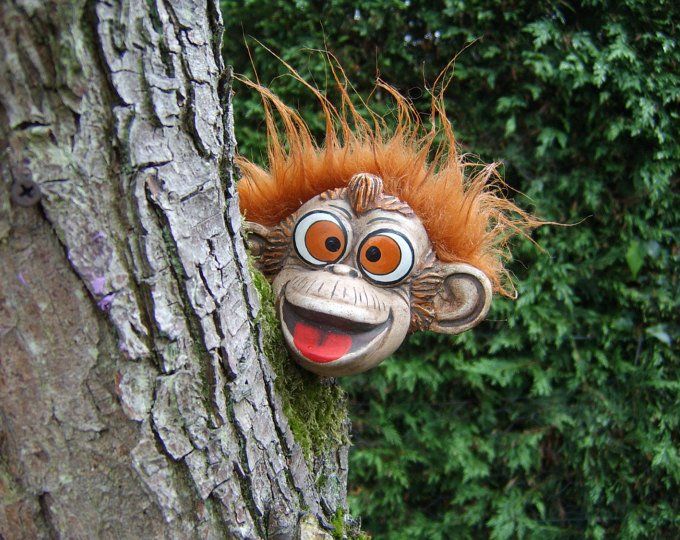 a stuffed monkey head sticking out of the side of a tree