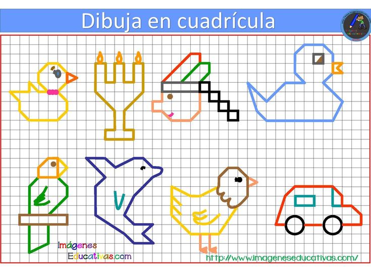 an image of different kinds of animals and birds on graph paper with the words dibuja en cuadriccia