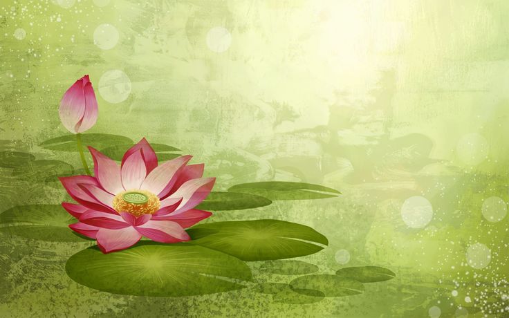 a pink lotus flower sitting on top of a green leafy plant with the words namaste and om shanti omens written in red