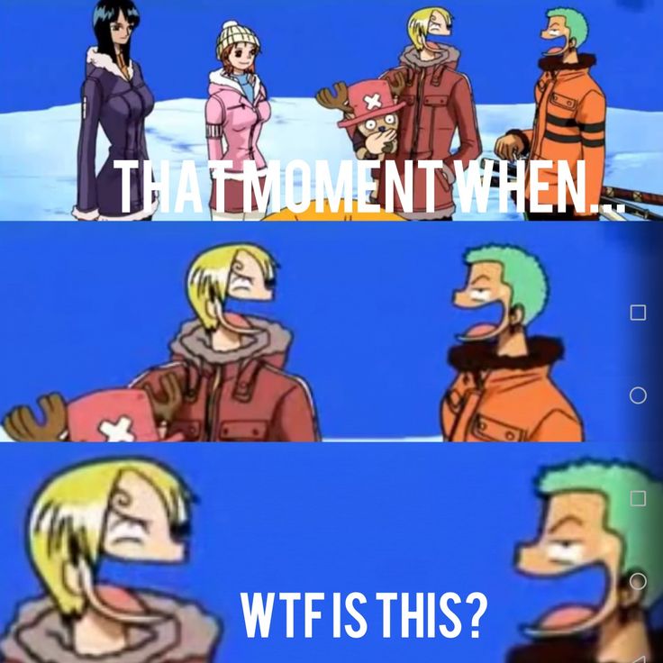 But really...the fuk? One Piece Memes Hilarious, One Piece Memes Funny, One Piece Meme, One Piece Ace, One Piece Funny, One Piece Images, One Piece Comic, One Piece Pictures, One Piece Fanart