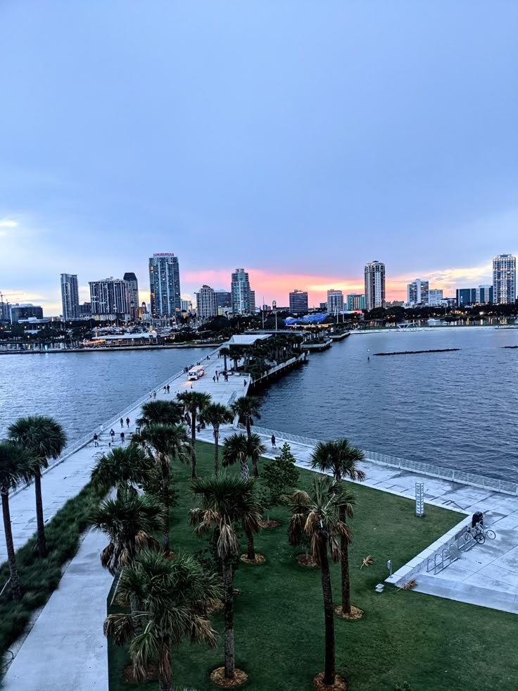 the city skyline is seen from across the water at dusk, with palm trees in foreground