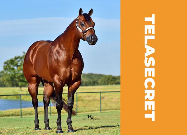 a brown horse standing on top of a lush green field