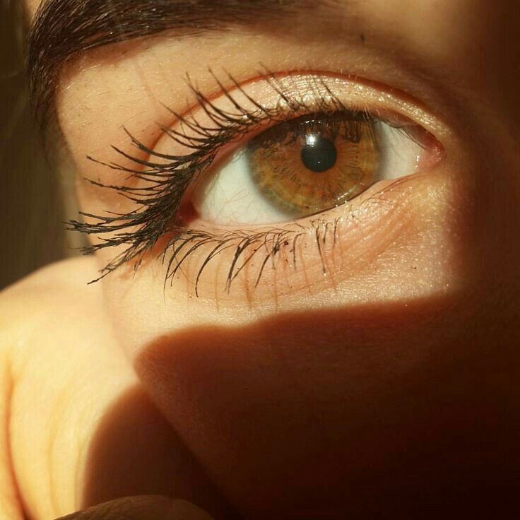 a woman's brown eye with long lashes