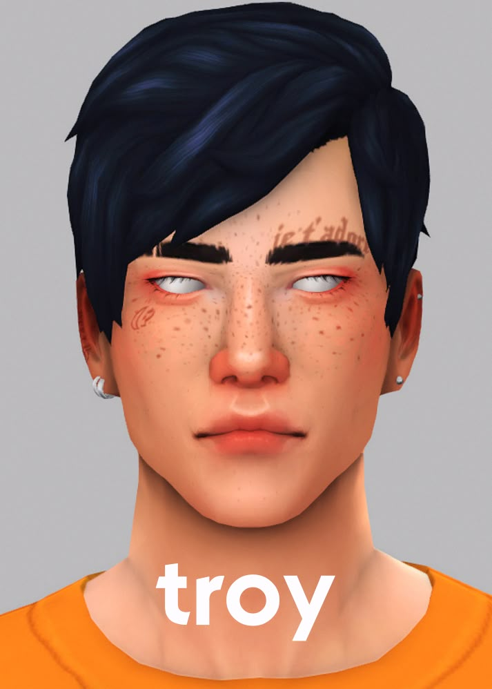 an animated image of a boy with freckles on his face and the words troy above it