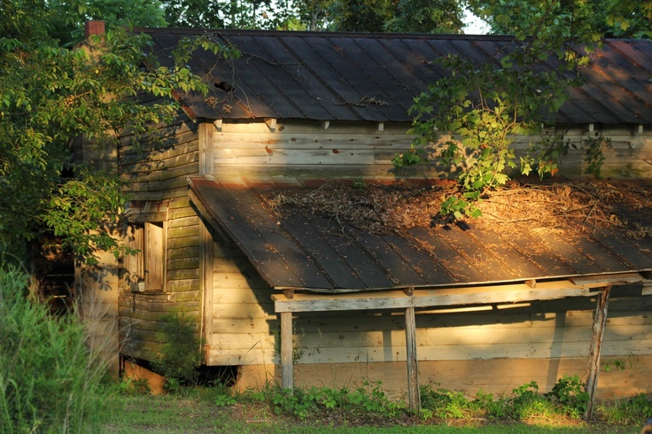 an old run down building with a rusted metal roof in the shade of trees