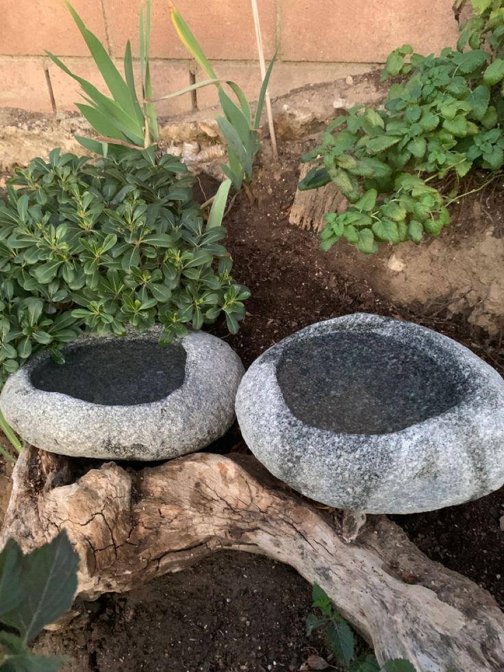 two stone bowls sitting on top of a wooden log in the dirt next to plants