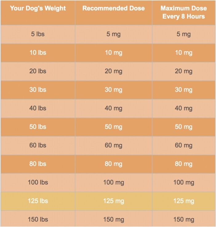 an info sheet showing the different types of dogs and their health needs for each type of dog