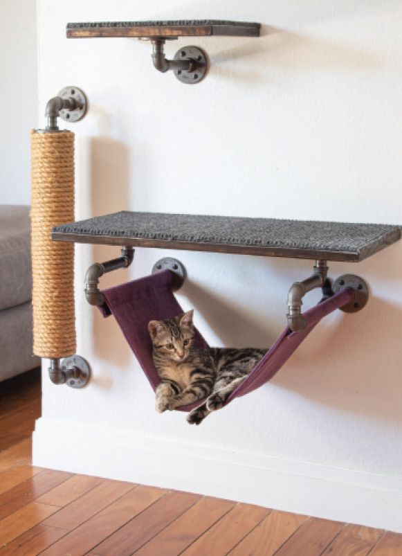 a cat laying in a hammock hanging on a wall next to a scratching post