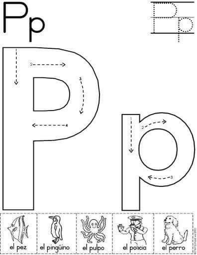 the letter p worksheet for preschool to practice handwriting and writing with pictures on it