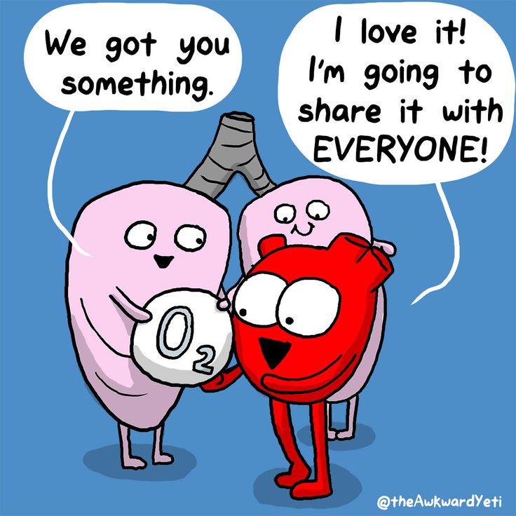 Image result for awkward yeti lungs give oxygen to heart | Biology ...