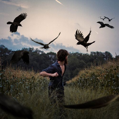 a man standing in a field with birds flying above him and looking at the ground