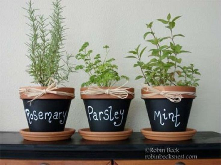 three potted plants with the words rosemary, parsley and mint written on them