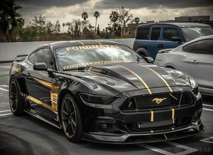 a black mustang with gold stripes parked in a parking lot