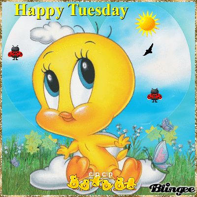 Pin by J P on Tweety bird | Baby looney tunes, Cartoon pics, Tweety ...