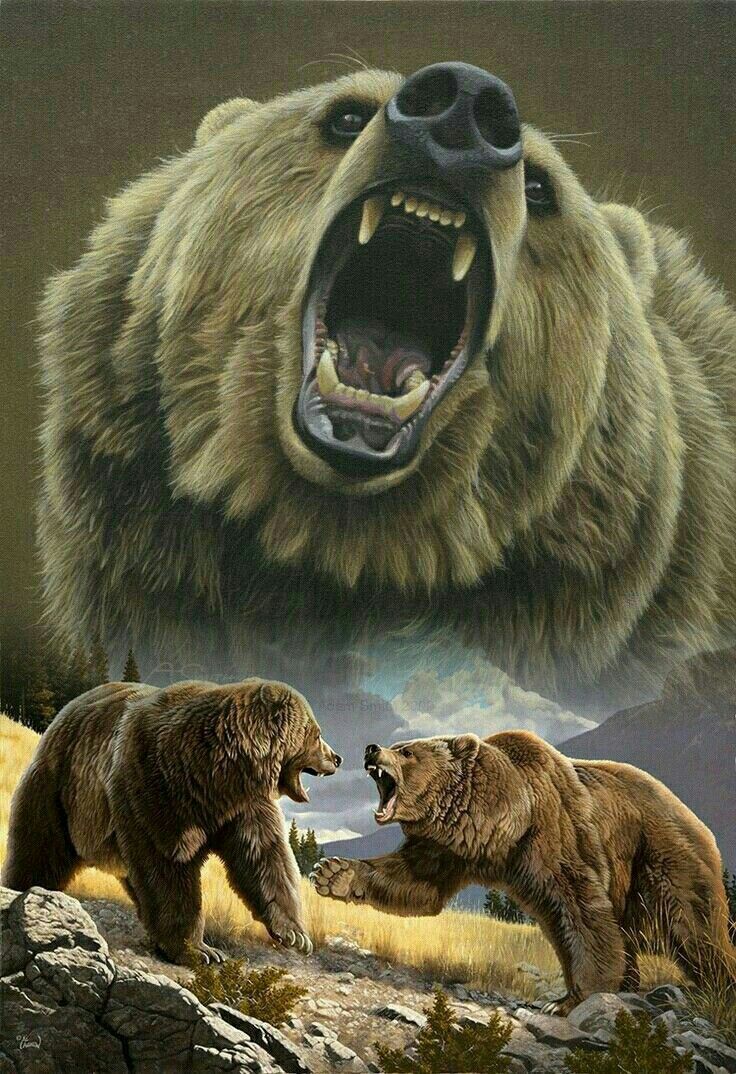 Stunning Grizzly Bear Art! Tattoo Ideas Bear, Bears Tattoo, Grizzly Bear Tattoos, Roaring Bear, Lup Singuratic, Tier Tattoo, Bear Artwork, Grizzly Bears, Bear Tattoos