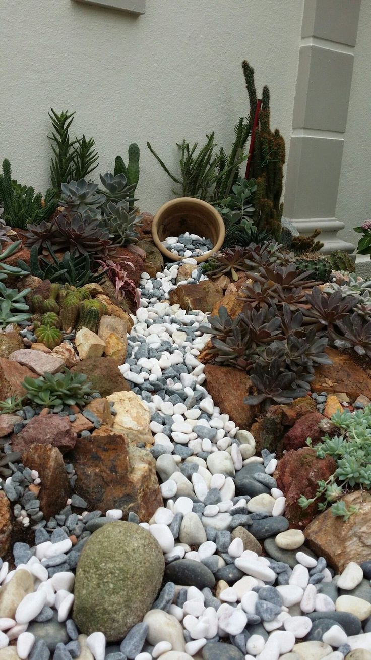 an image of a garden with rocks and succulents in the middle on instagram