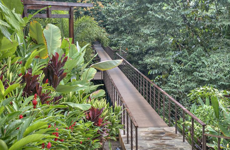 the walkway is surrounded by lush vegetation and trees