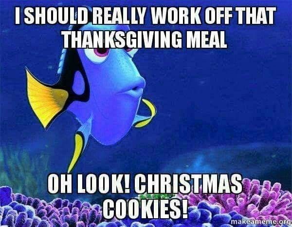 a blue and yellow fish with caption that reads, i should really work off that thanksgiving meal oh look christmas cookies