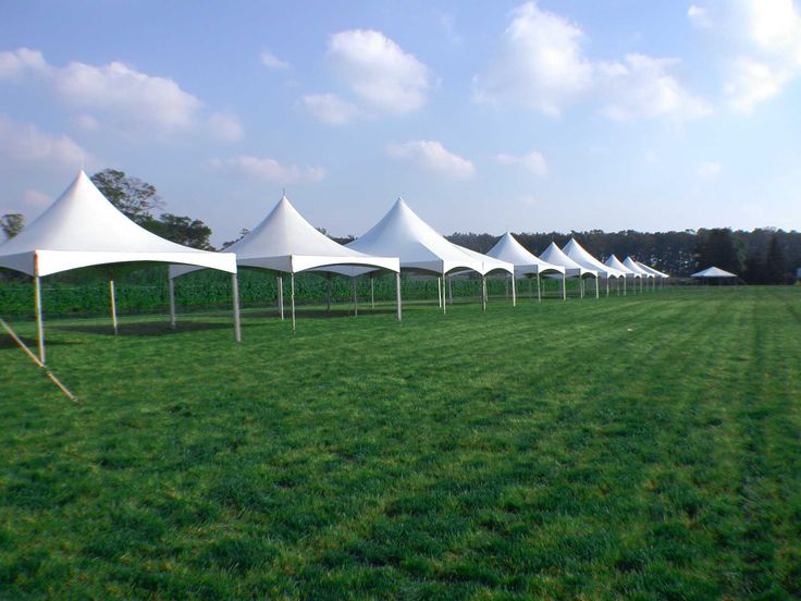 several white tents lined up in the grass