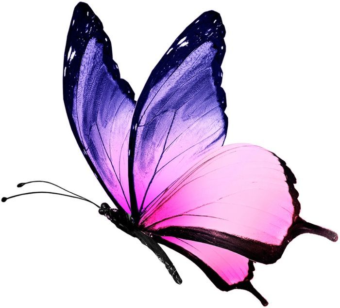 a pink and blue butterfly flying in the air