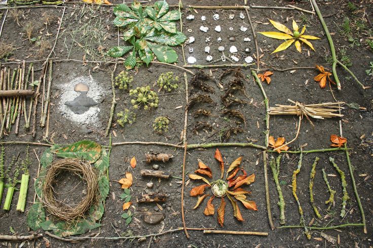 the garden is full of different types of plants