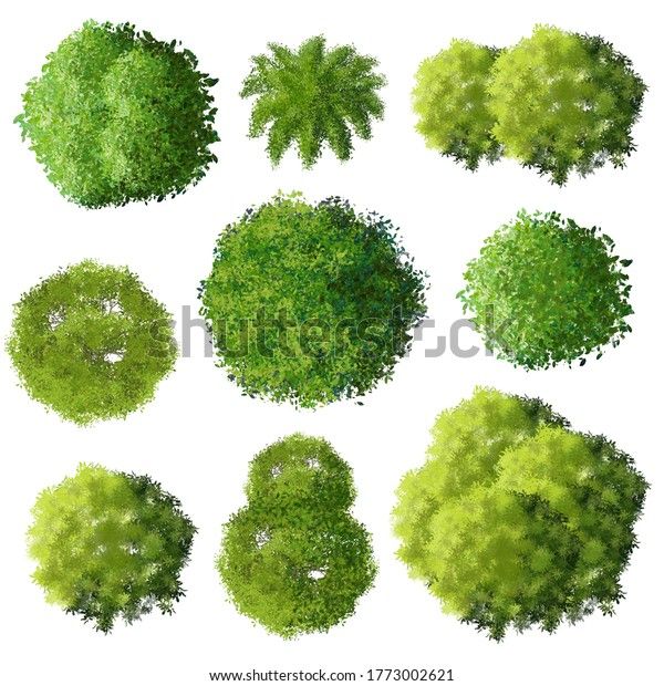 the top view of green trees and bushes in different positions on a white background with clippings