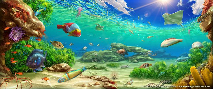 an underwater scene with many different types of fish