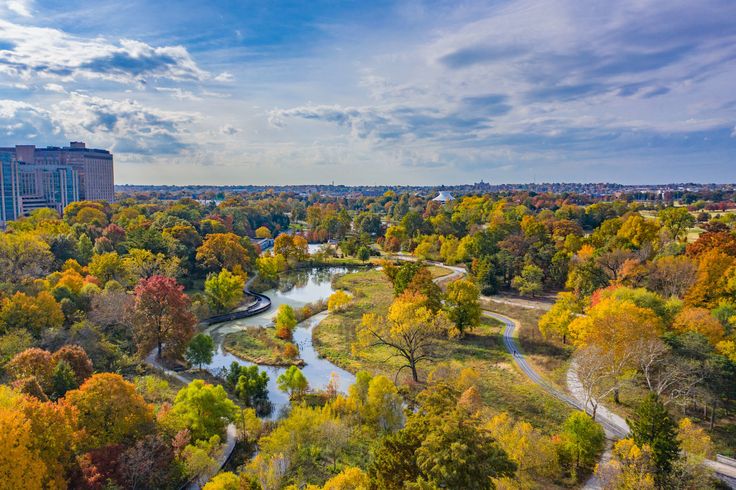 an aerial view of a river running through a park with lots of trees in the foreground