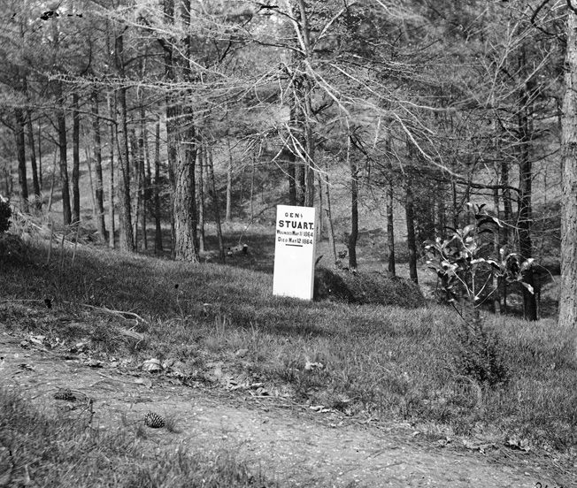 a black and white photo of a sign in the middle of a forest with trees