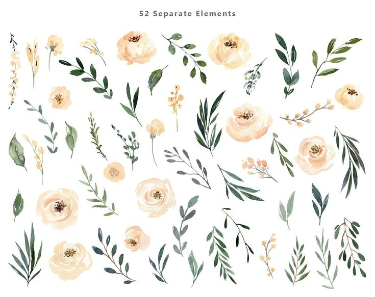 Watercolor Floral Clipart Beige Cream Light Creamy Flowers | Etsy in ...