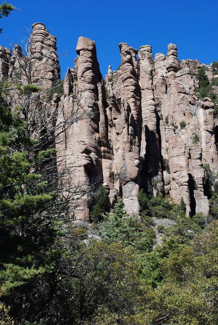 some very tall rock formations in the woods