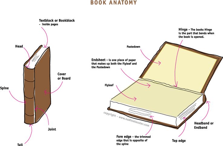 Book anatomy | Book making, Book worth reading, Book art image.