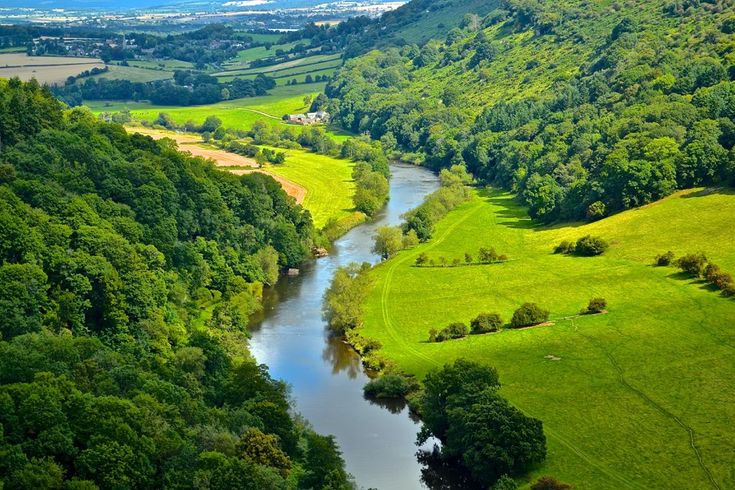 a river running through a lush green valley