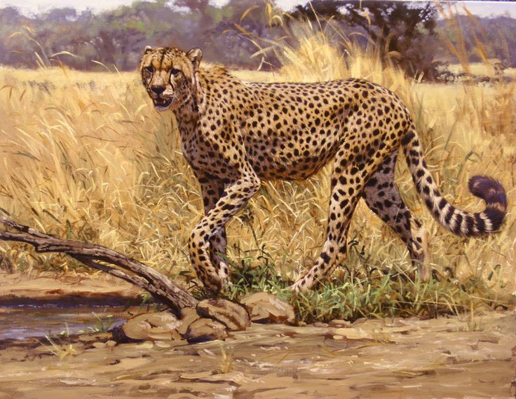 a painting of a cheetah in the wild