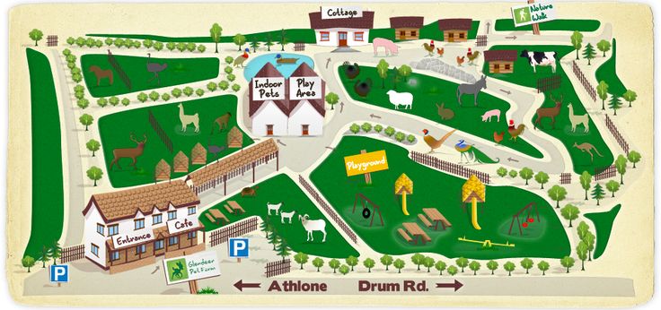 an illustrated map of a park with animals